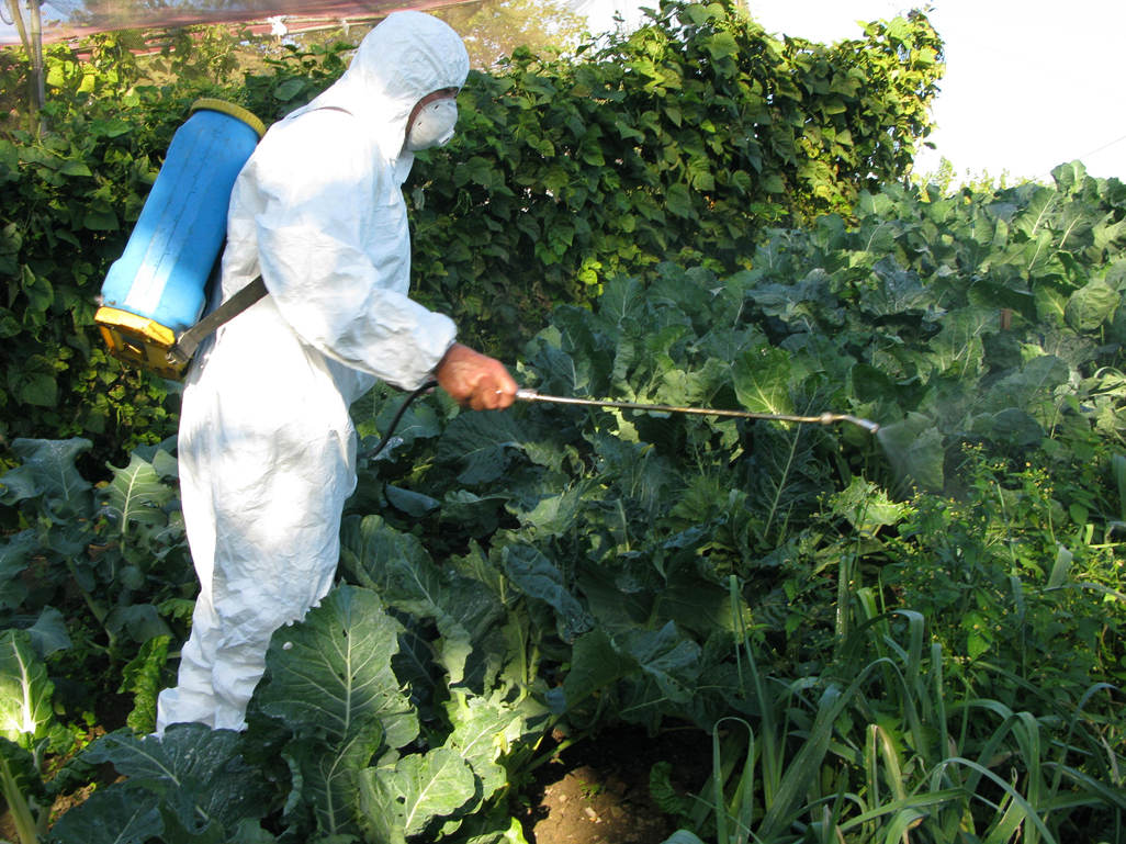 Planoles libre de pesticidas