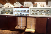 La casa de les papallones - petit museu d'història natural al Gironès - Instal·lacions