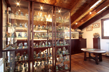 La casa de les papallones - petit museu d'història natural al Gironès - Instal·lacions
