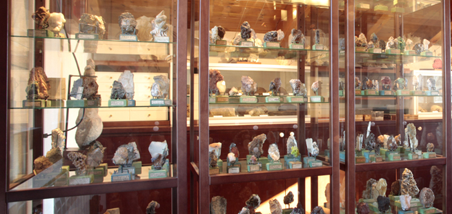 La casa de les papallones - petit museu d'història natural al Gironès - Instal·lacions