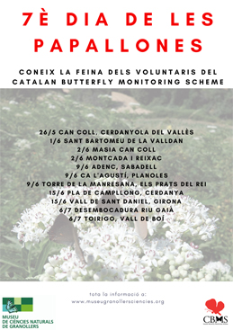  7è. Dia de les Papallones