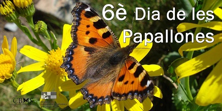  6e. Dia de les Papallones