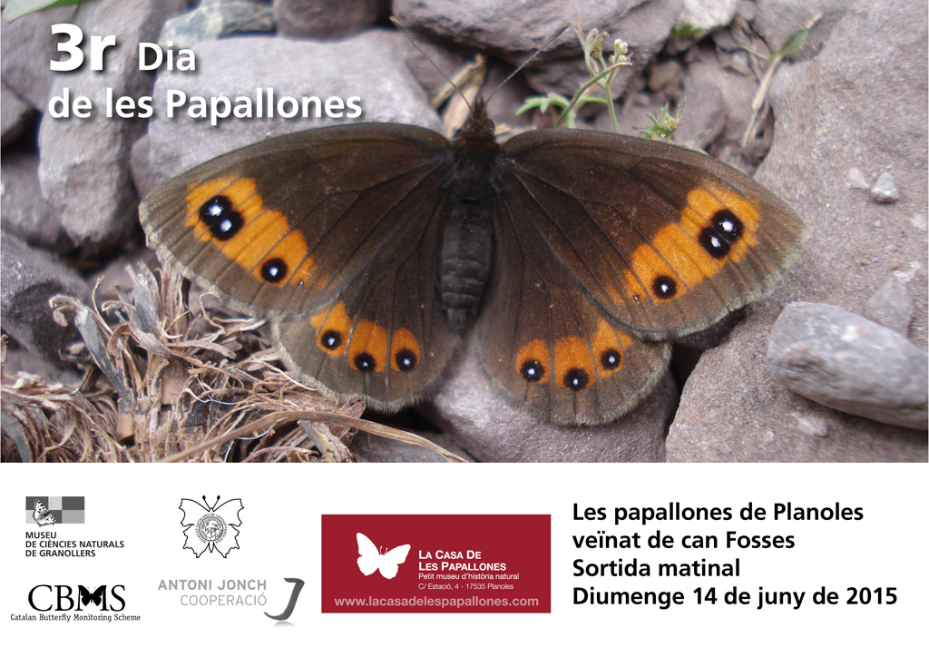  3er Dia de les Papallones a Planoles