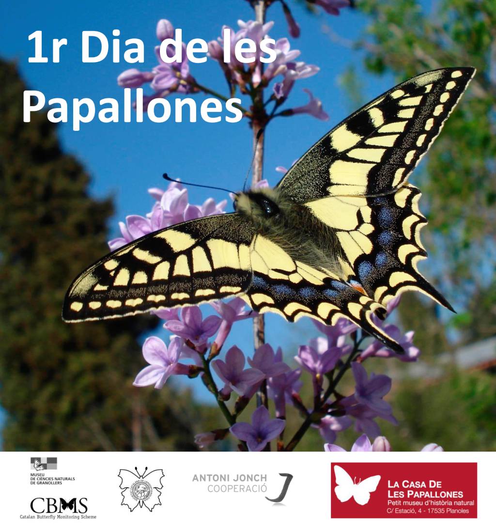  1r Dia de les Papallones a Planoles