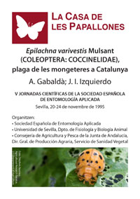 Epilachna varivestis