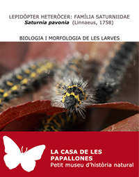 Biologia i morfologia de les larves 1