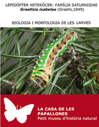 Biologia i morfologia de les larves 3