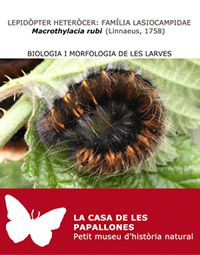 Biologia i morfologia de les larves 2